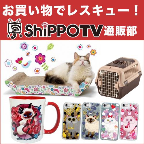 ShippoTV通販部