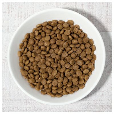 送料無料 AIM30 仔猫用 健康な尿路ケア チキン 600g ×10個 合計6kg